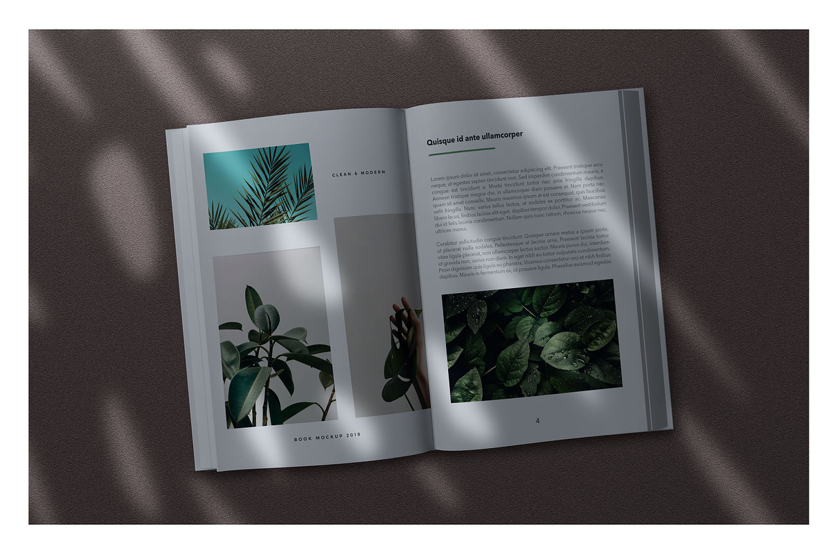 Huge Moody Shadow Bundle, a Books & Magazine Mockup by AndrewPixel (Photo 9 of 30)