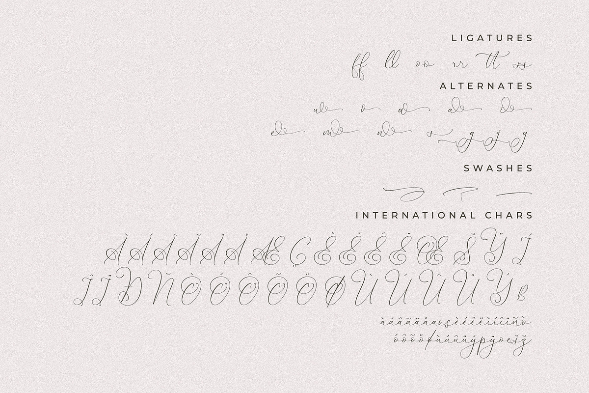 Senorytta Chic Calligraphy Font, a Script Font by Storytype Studio (Photo 14 of 15)