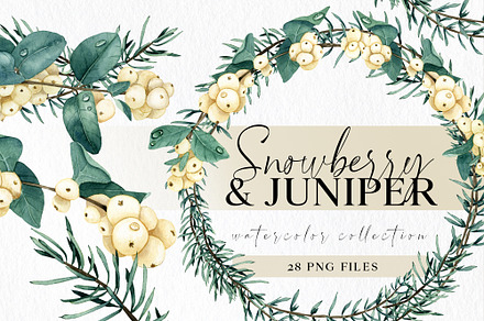 Winter Floral Teal Clipart