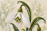 Beaded Snowdrop PNG, an Object Graphic by The Edit (Thumbnail 2 of 3)