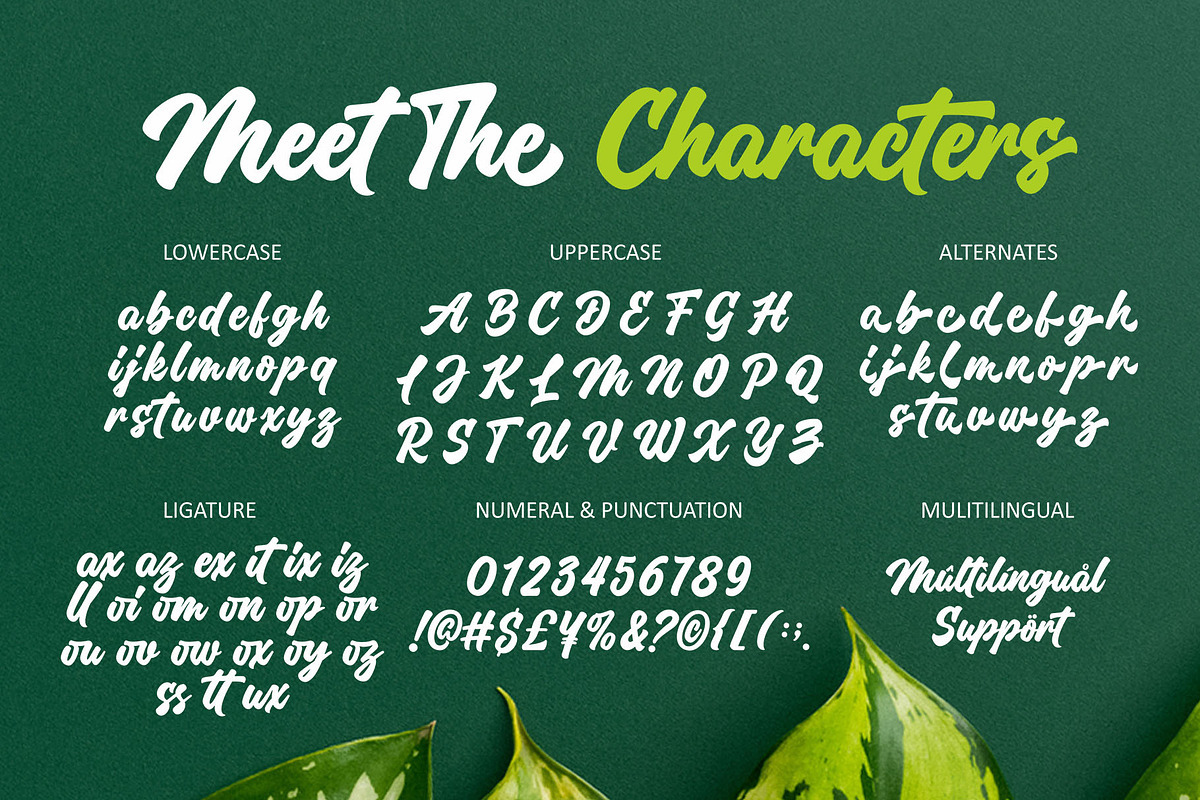 Million Orchids - Casual Handwritten, a Script Font by Four Lines Std. (Photo 9 of 10)