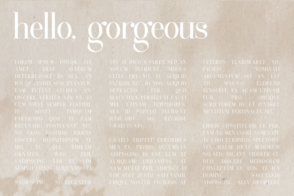 Edinburgh | A Classic Serif preview 3
