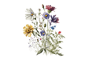 Watercolor Spring Flowers Background, an Object Graphic by Regulrcrative (Thumbnail 7 of 7)