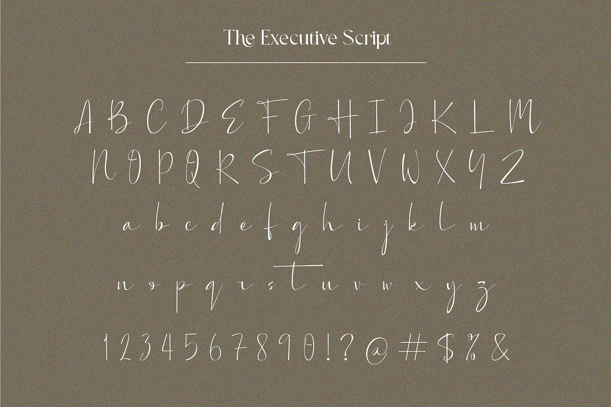 The Executive Casual, a Serif Font by Fontsgood (Photo 8 of 13)