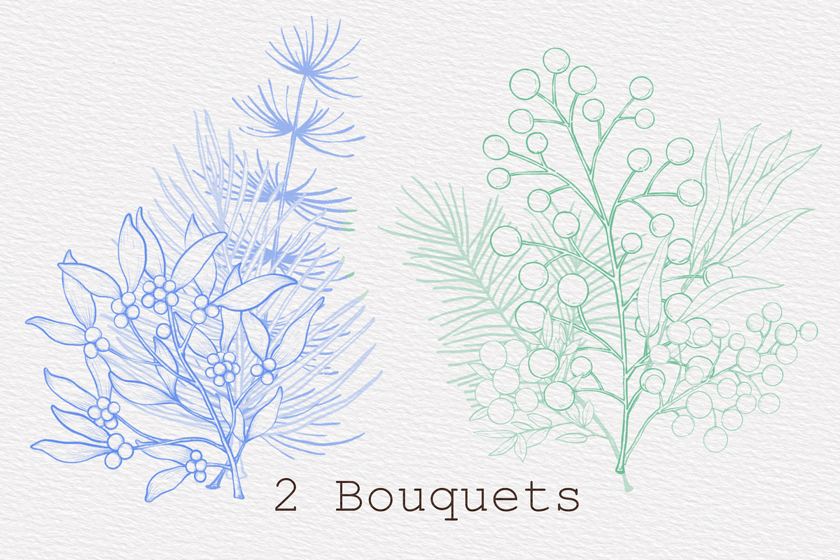 Winter & Christmas Plants,Procreate, a Brush Add-On by Sense Library (Photo 5 of 11)