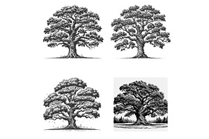 large oak tree engraving set vector, an Object Illustration by AlexArt