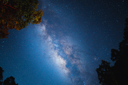 Night scene milky way background,Trees Against Sky At Night, a Nature Photo by Art Rachen
