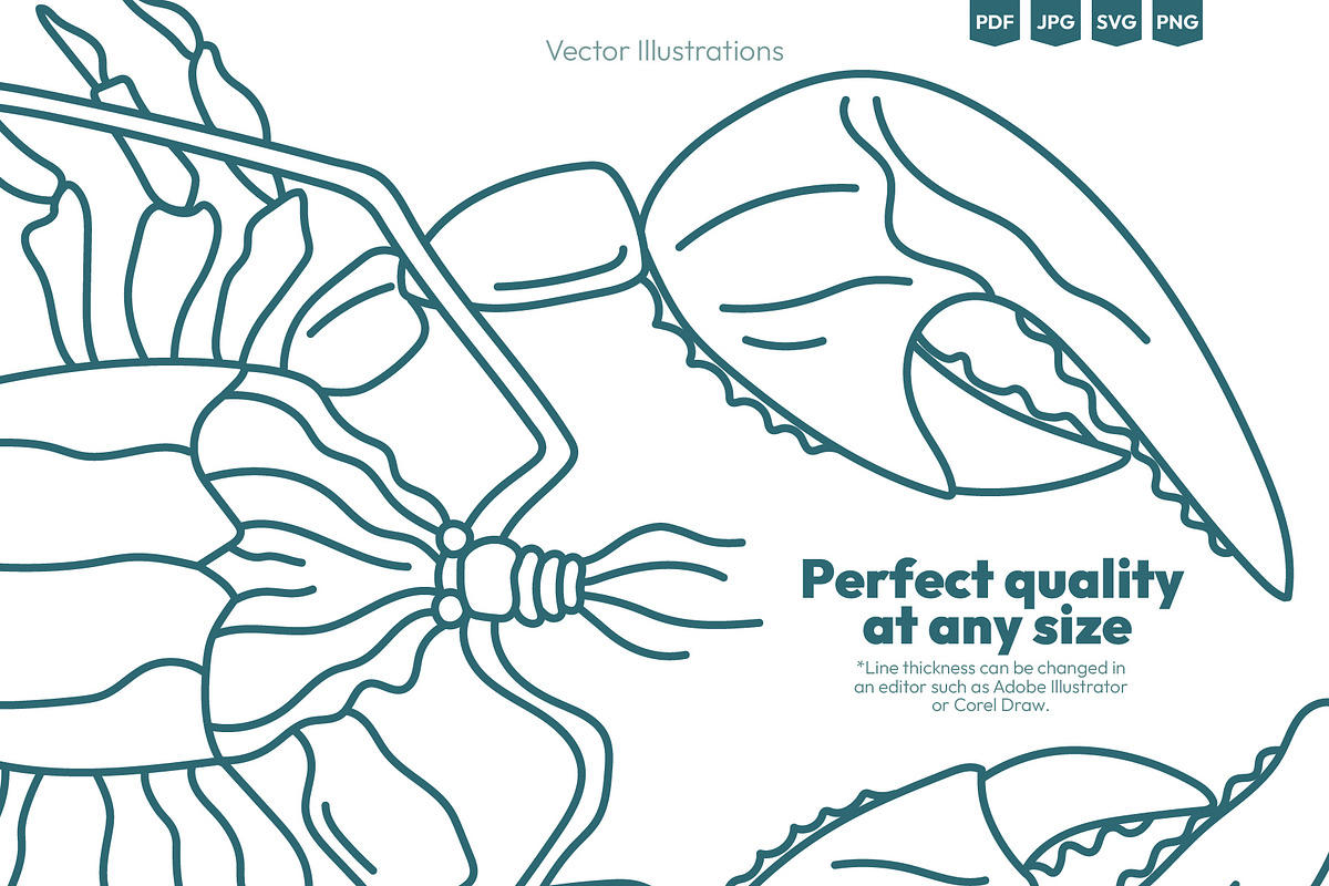 Seafood & Fish Vector Pack, an Animal Illustration by Ilia Design (Photo 7 of 10)