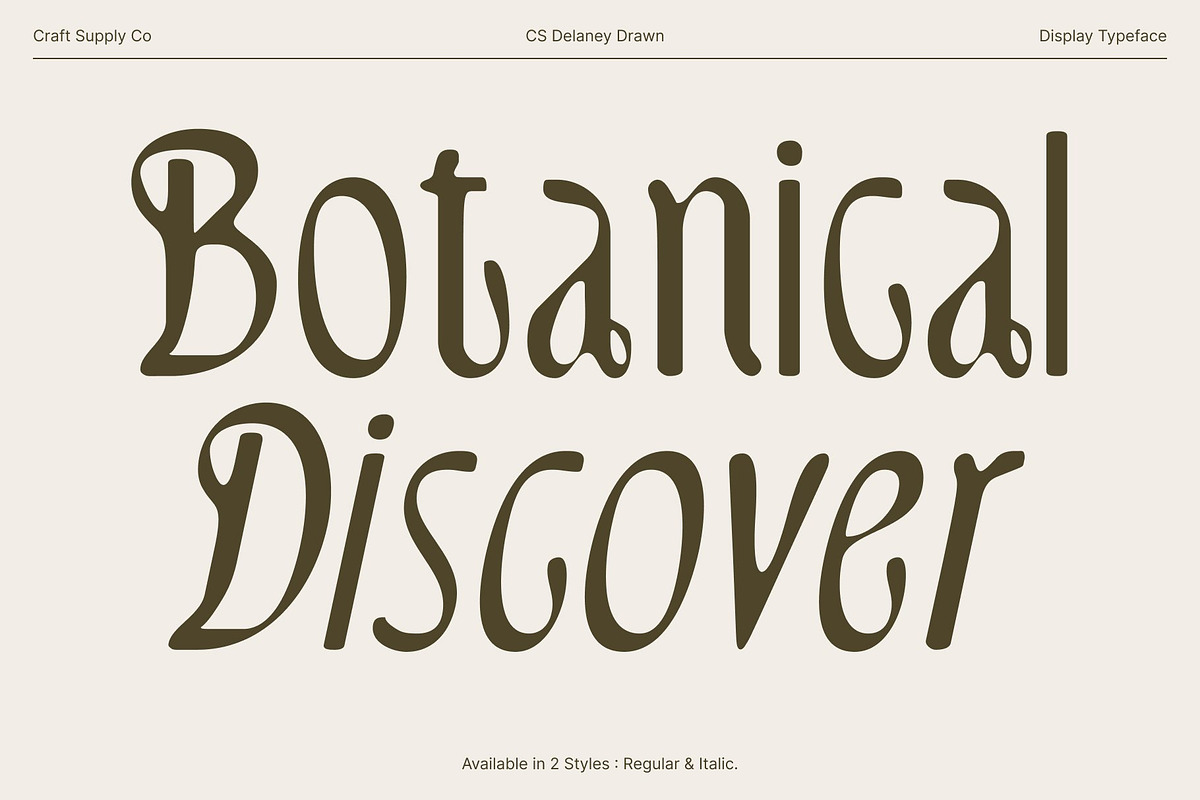 CS Delaney Drawn, a Serif Font by Craft Supply Co. (Photo 4 of 8)