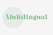 Reliam - Modern Serif Font, a Serif Font by AnnofaType (Thumbnail 7 of 10)