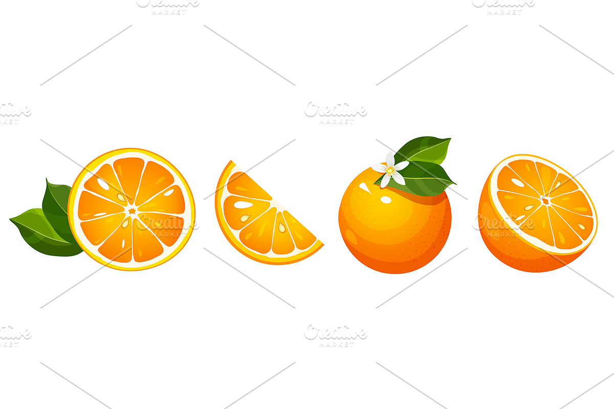 Orange fruit collection, a Food Illustration by Elen_Art