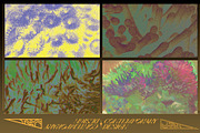 Coral Textures, a Texture Graphic by Kapoor Design Empire (Thumbnail 7 of 8)