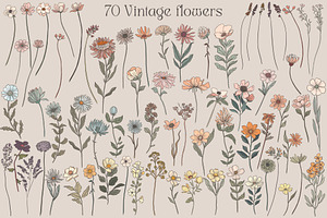 Vintage Wild Flowers Collection