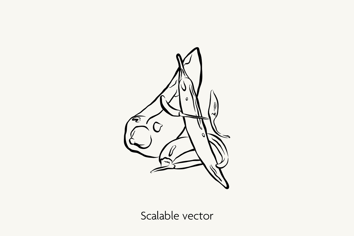 Herbs & Spices Vector Bundle, a Food Illustration by Little Gremlin (Photo 6 of 10)