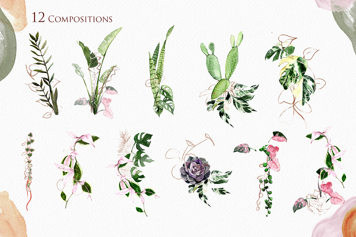 Houseplant Botanical Alphabet Letter, an Illustration by Cacacolors Clipart (Photo 3 of 4)