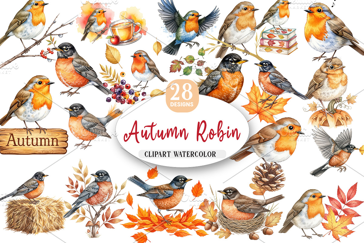 Autumn American Robin Bird Clipart, an Illustration by Watercolor design (Photo 1 of 5)