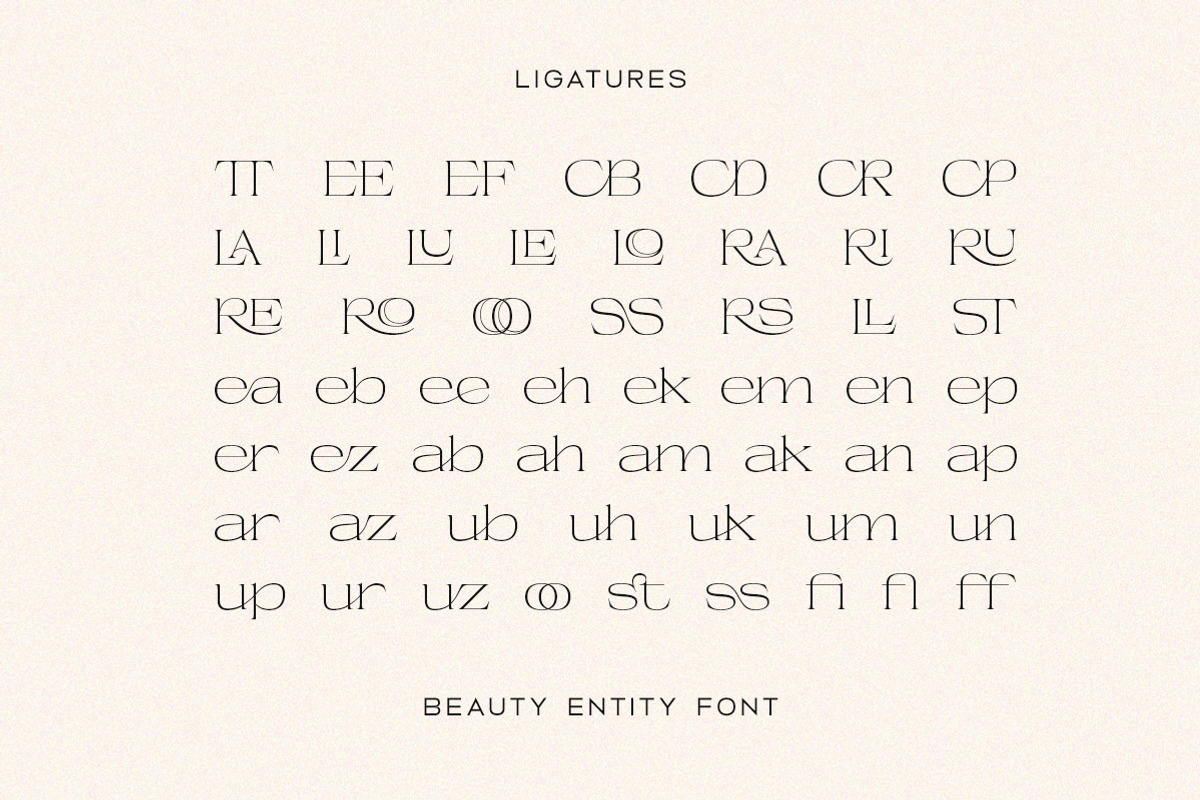 Beauty Entity - Stylish Serif, a Serif Font by Typeskets (Photo 6 of 9)