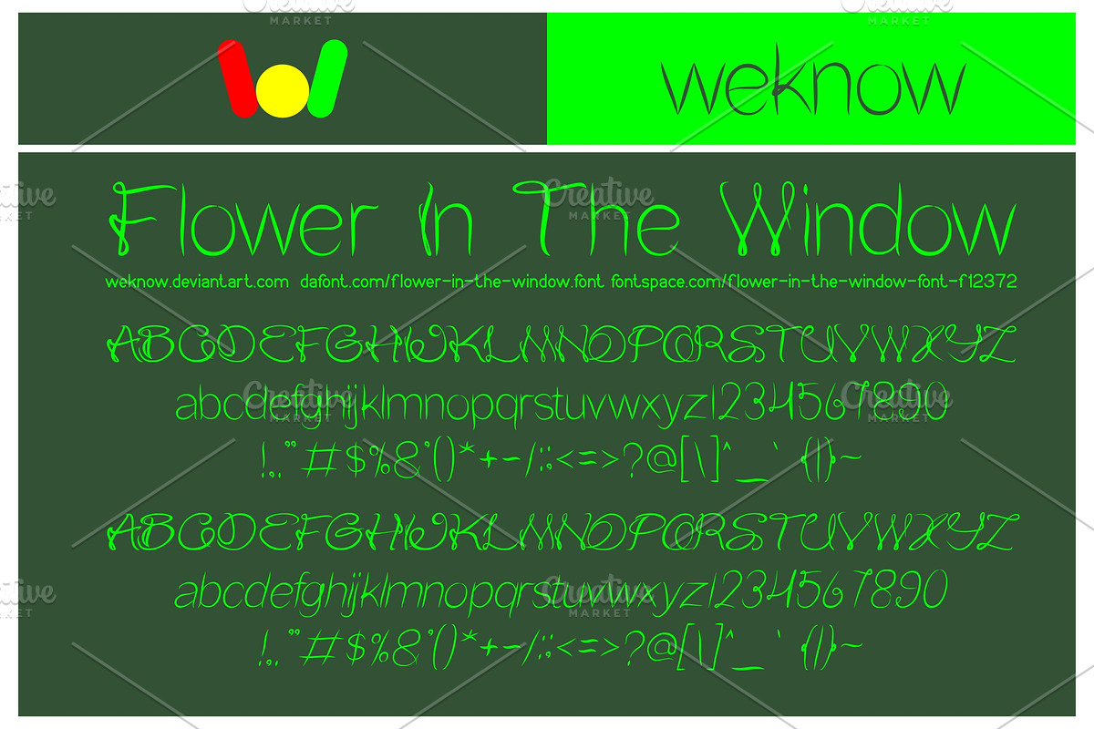 flower in the window