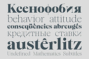Almero Serif Family, a Serif Font by Zane Studio (Thumbnail 4 of 11)