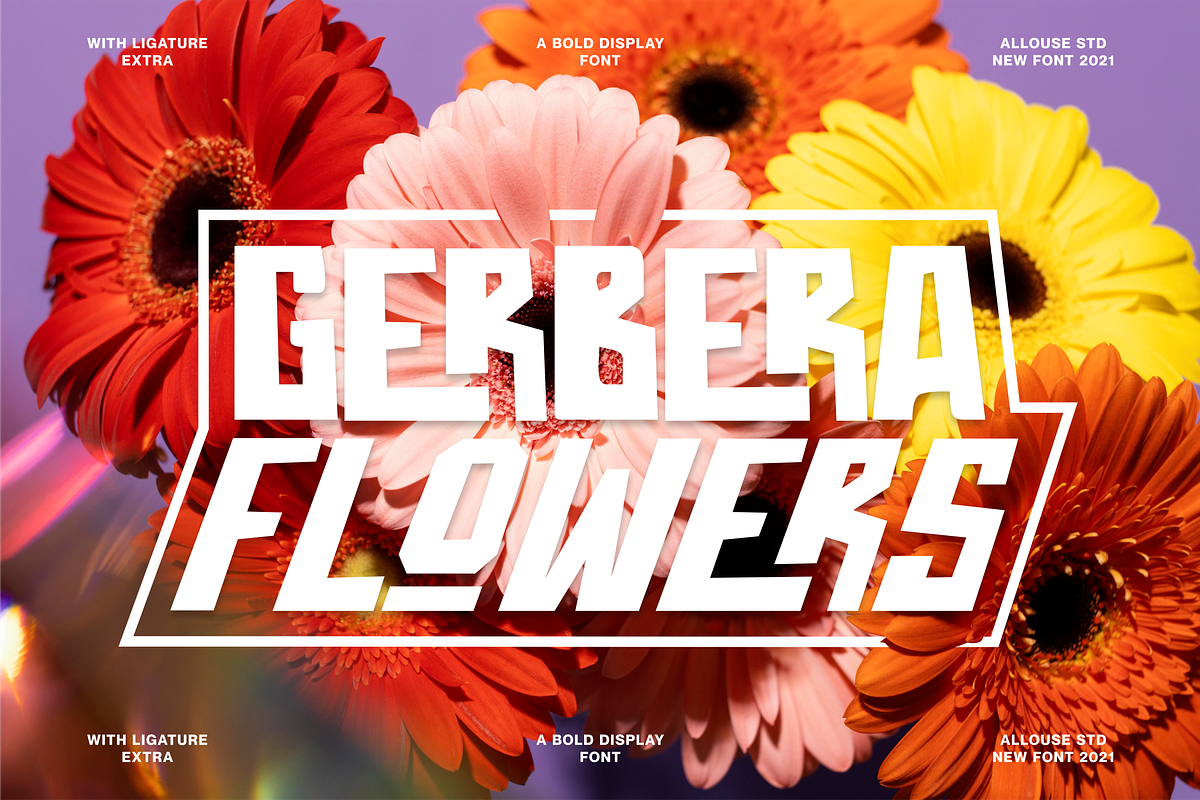 Throostle a Bold Display Font Family, a Sans Serif Font by Allouse Studio (Photo 4 of 10)
