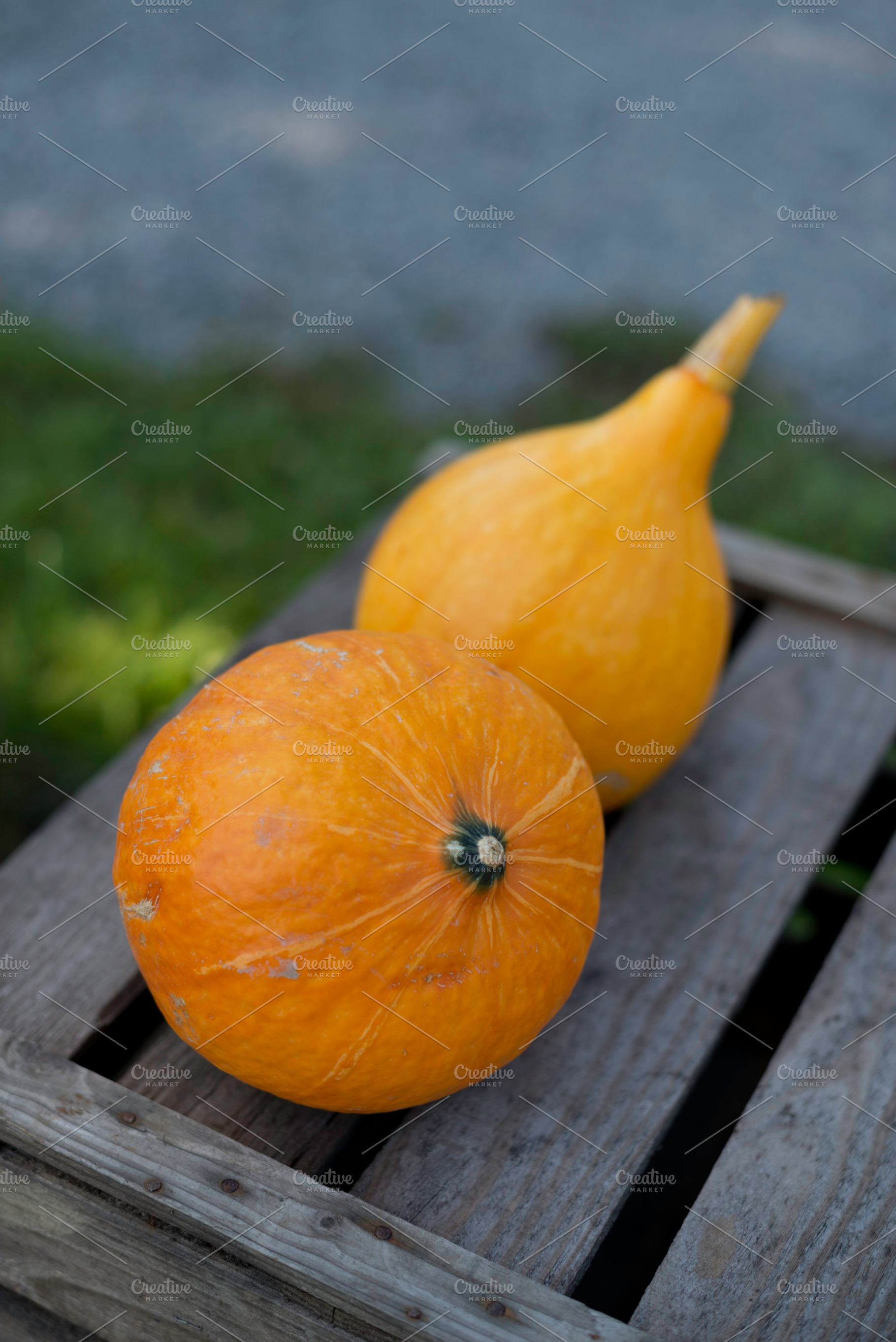 Organic Pumpkin Stock Photo Containing Fruit And Organic
