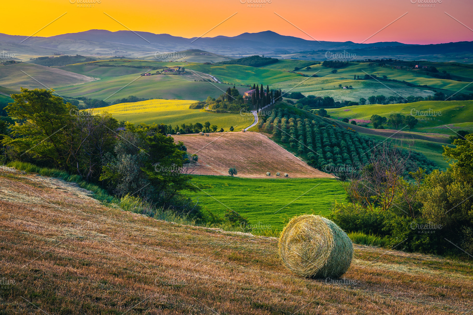 Agricultural landscape at sunrise, a Nature Photo by Alpine Dreams