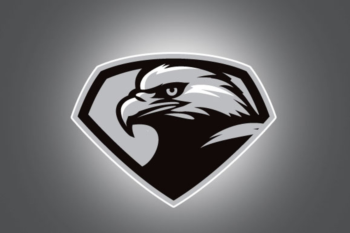 Eagle head, an Animal Illustration by Mongkees