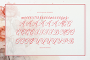 Lim Siendra | Classic Calligraphy, a Script Font by gracetype_studio (Thumbnail 11 of 12)