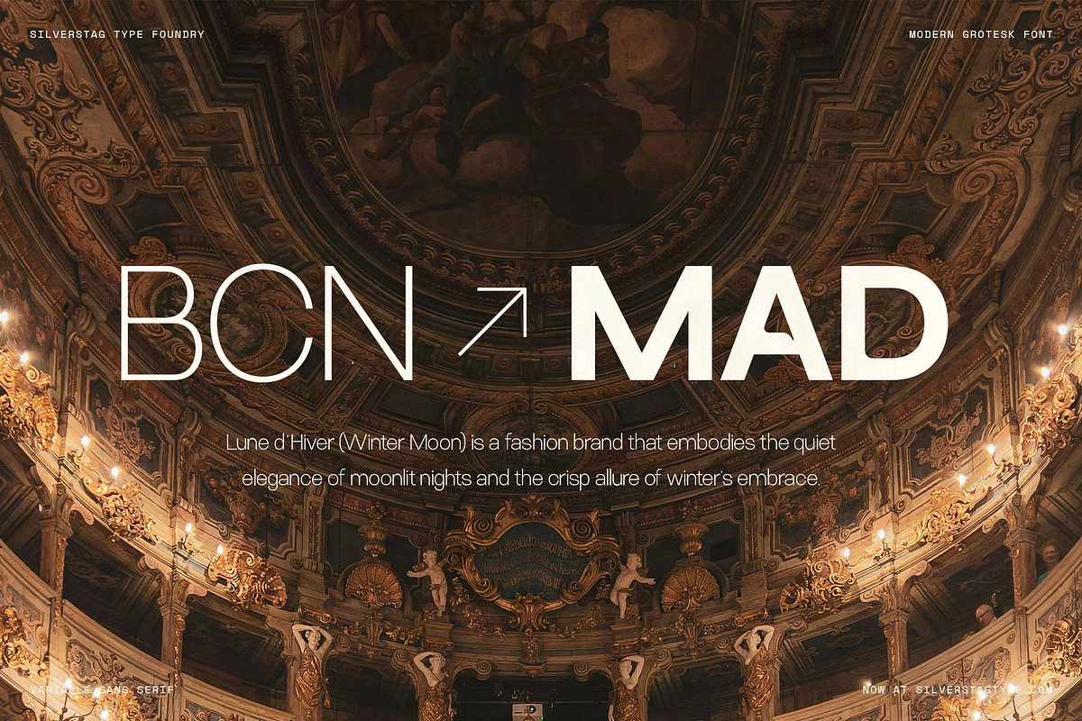 Ryecroft - Variable Sans Typeface, a Sans Serif Font by SilverStag Type Foundry (Photo 17 of 20)