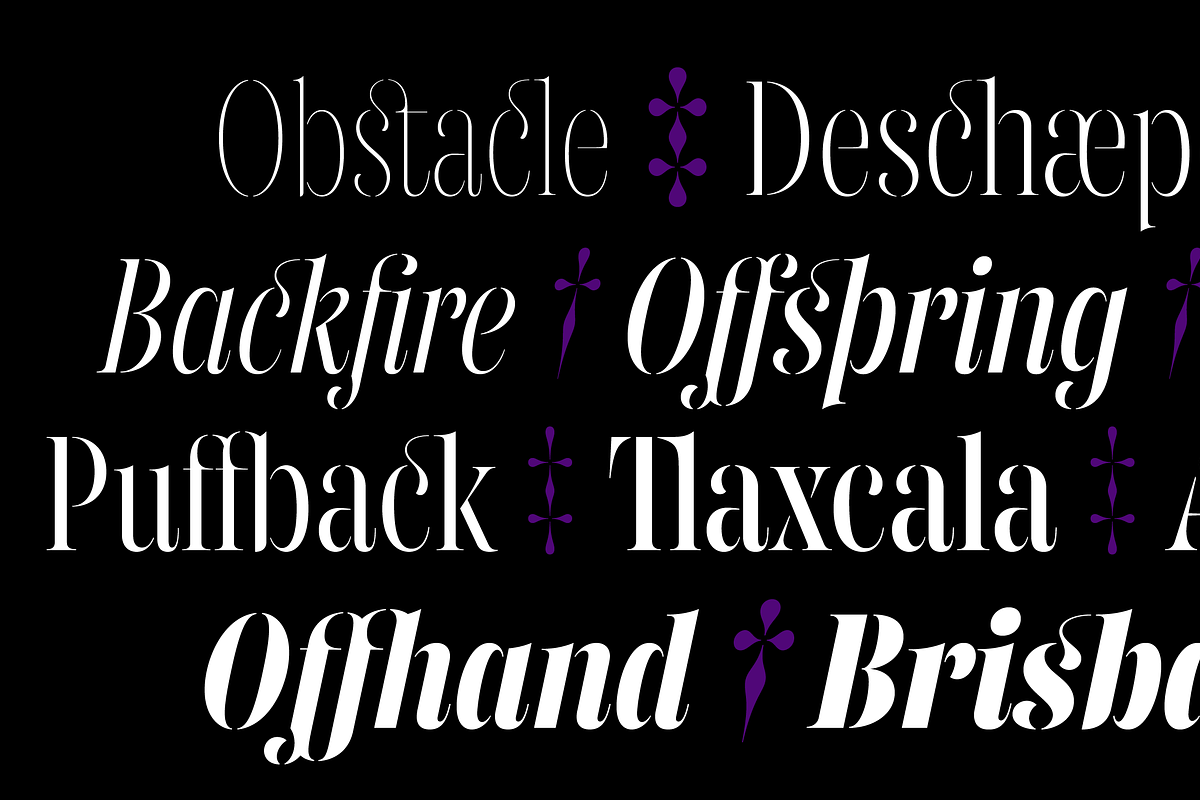 Gabriela Stencil Condensed, a Font by Lechuga Type (Photo 2 of 17)