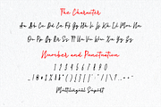 Slankie, a Script Font by Forberas Club (Thumbnail 6 of 7)