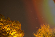20 Light Leak Overlays, a Texture Graphic by cw_kennedy (Thumbnail 2 of 3)