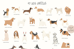 DOG Breeds Collection