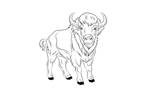 Cute Cartoon Bison Coloring Book, an Animal Illustration by Ghagra