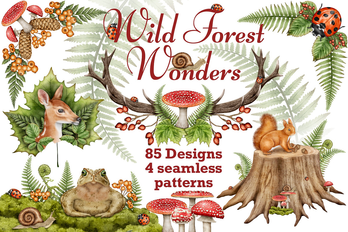 Forest Wonders Watercolor clipart, an Illustration by Happy Sloth Graphics (Photo 1 of 16)