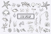 Ocean & sea underwater life, an Object Graphic by Ana-Sakuta (Thumbnail 12 of 18)