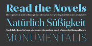 Gazeta Stencil Display, a Serif Font by Vanarchiv (Thumbnail 3 of 7)