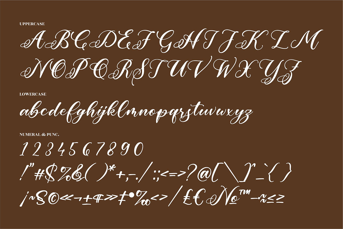 Rafaela Belaria Beautiful Script, a Script Font by Letterena Studios Script (Photo 13 of 15)