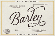 SALE | The Bestseller's Font Bundle, a Sans Serif Font by Hustle Supply Co. (Thumbnail 4 of 62)