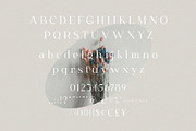 Fligen - Stylish Serif, a Serif Font by BrandSemut (Thumbnail 9 of 10)
