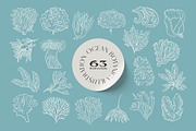 Ocean Botanica, an Animal Illustration by KetteCreate (Thumbnail 11 of 13)