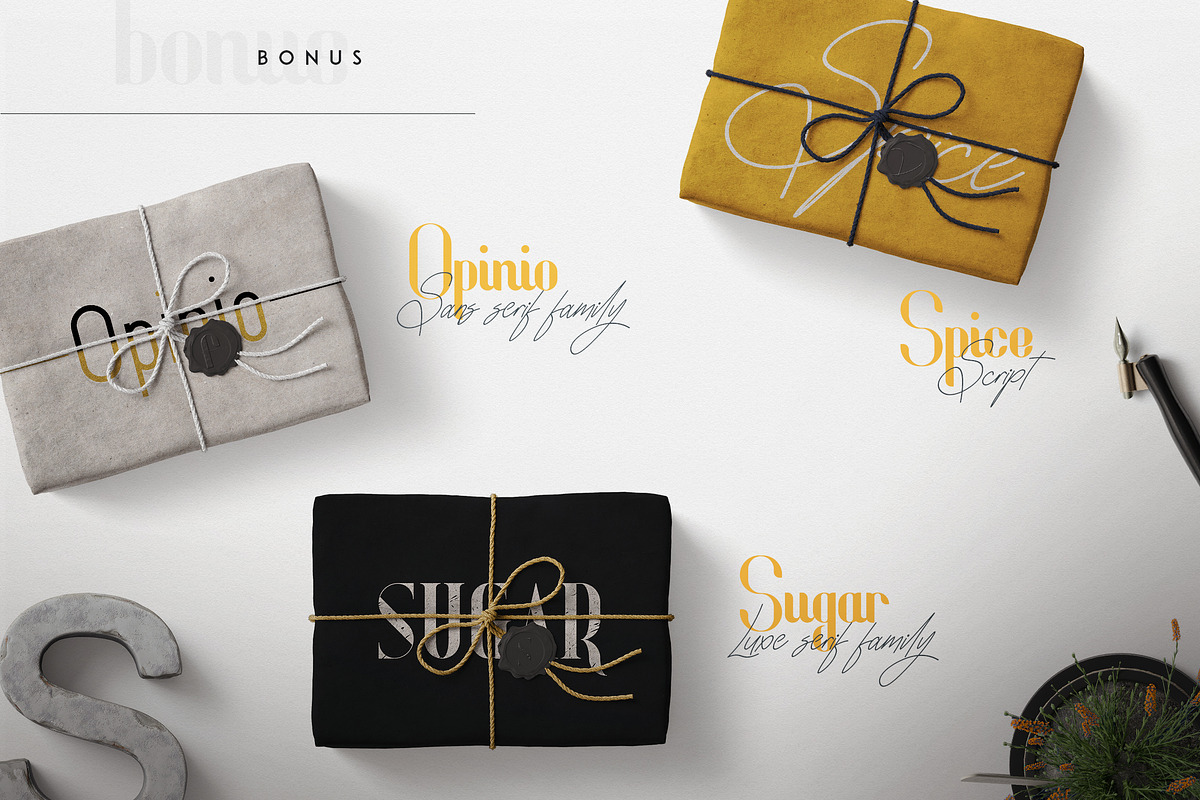 Fonatik Display font + Extras, a Sans Serif Font by VP Fonts (Photo 20 of 21)