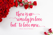 Nelvita Script (Duo Font + Extra), a Script Font by khurasan (Thumbnail 2 of 8)