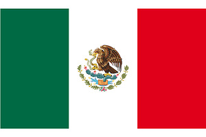 Mexico flag vector Illustration