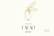 Watercolor Cacao Beans, a Food Illustration by MayaNavits (Thumbnail 13 of 13)