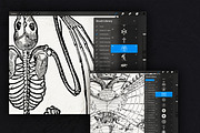 98 Procreate mystic / ocult stamps, a Brush Add-On by Endete & Mazak brushes (Thumbnail 6 of 6)