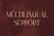Magfire Hyena Modern Serif Font, a Serif Font by Storytype Studio (Thumbnail 12 of 15)