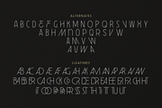 Leonidas Sans - Variable Weight Font, a Sans Serif Font by Eagle & Bison Design Co. (Thumbnail 11 of 11)