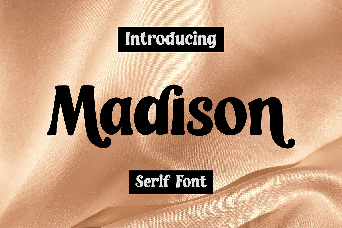 Madison -  Serif Font, a Serif Font by AQR Studio (Photo 1 of 7)