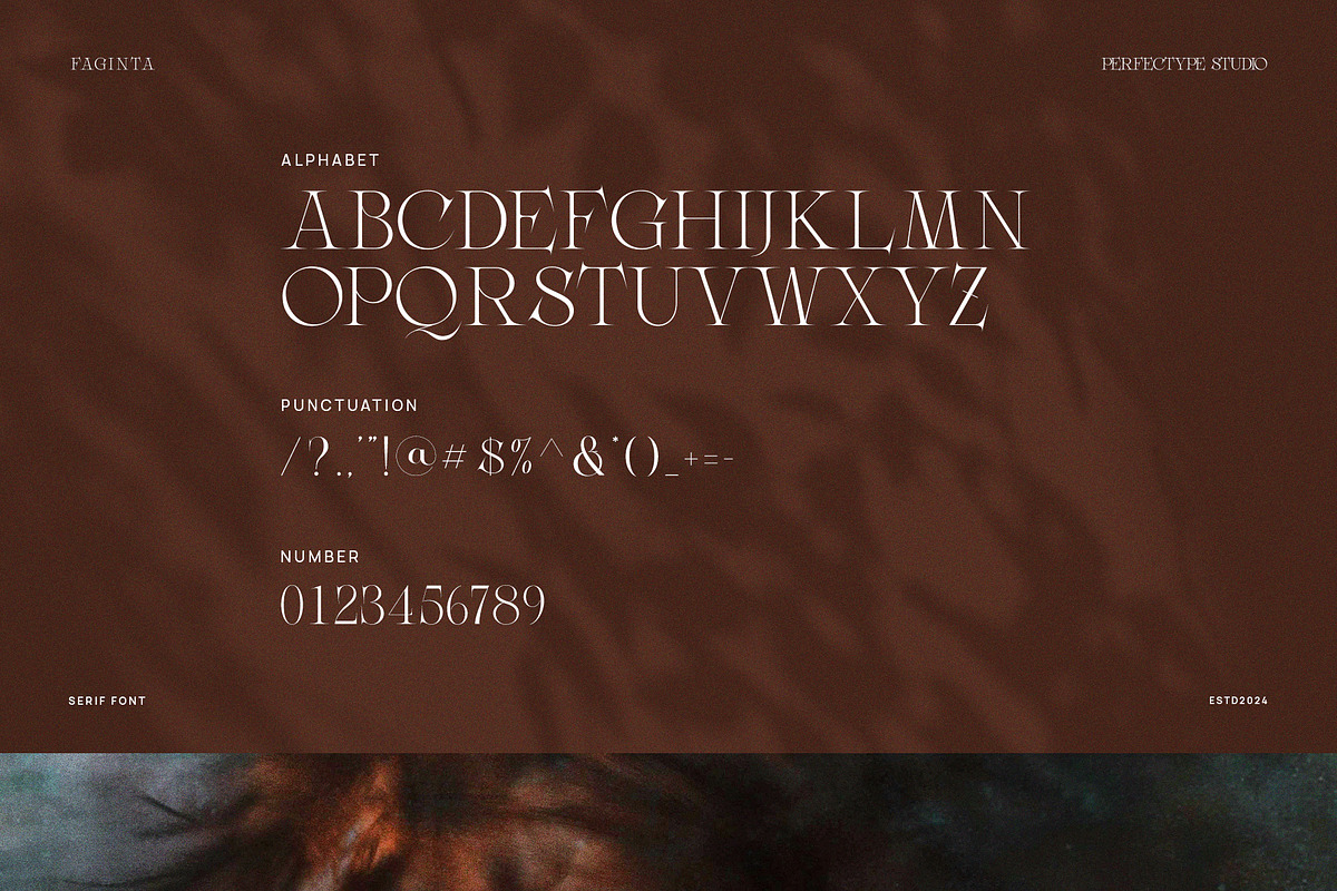 Faginta Minimalist Serif Font, a Serif Font by Perfectype (Photo 8 of 8)